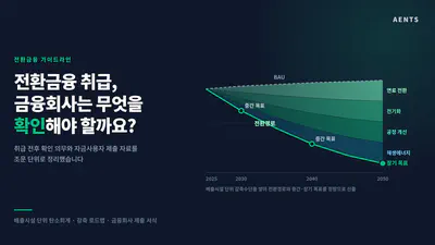 전환금융 취급, 금융회사는 무엇을 확인해야 할까요?