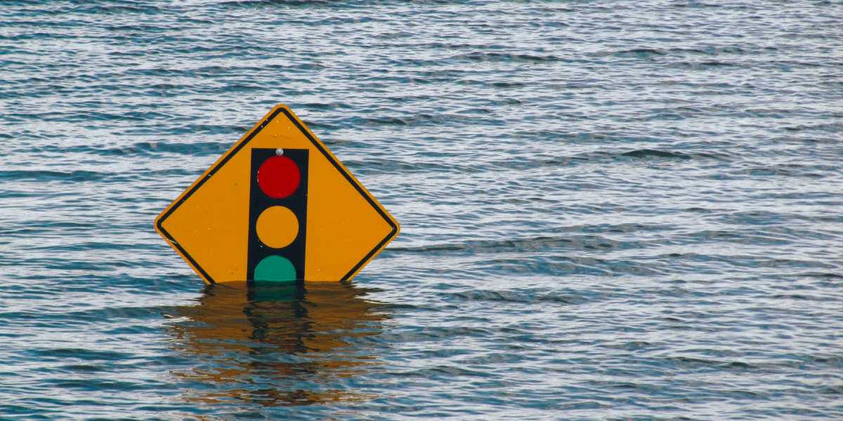 '기후변화 적응'을 들어보셨나요?