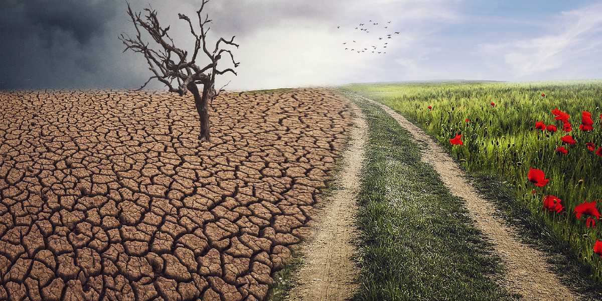 기후 리스크 및 기회 관리 방안